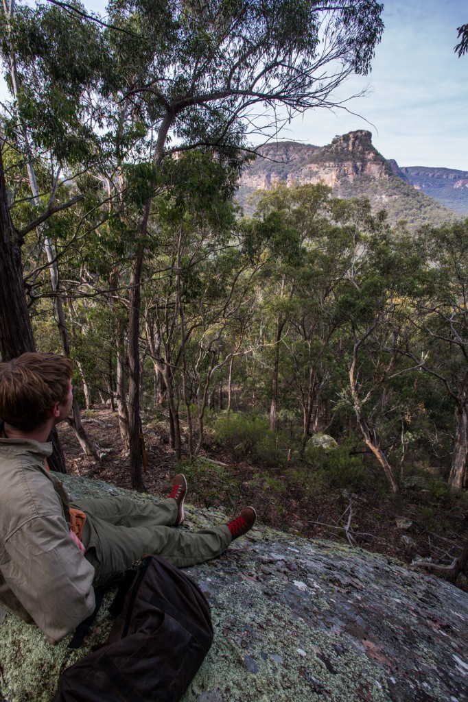 Easterly Newnes escarpment from camp