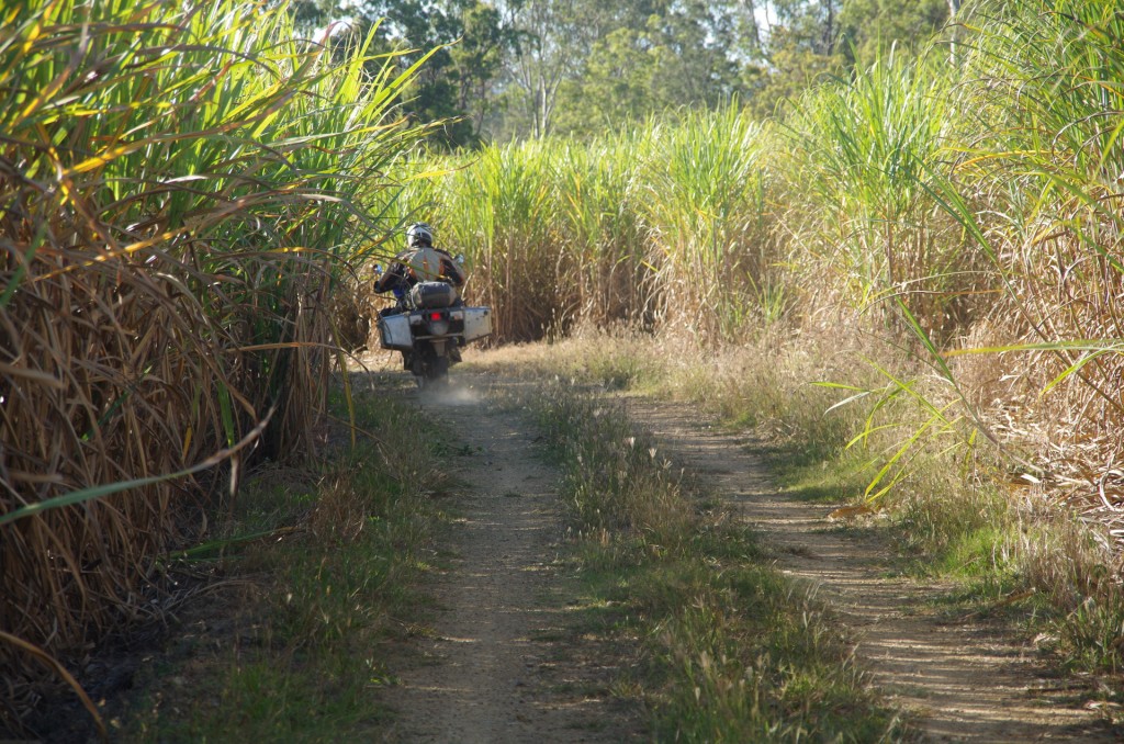 Riding through cane fields to get there